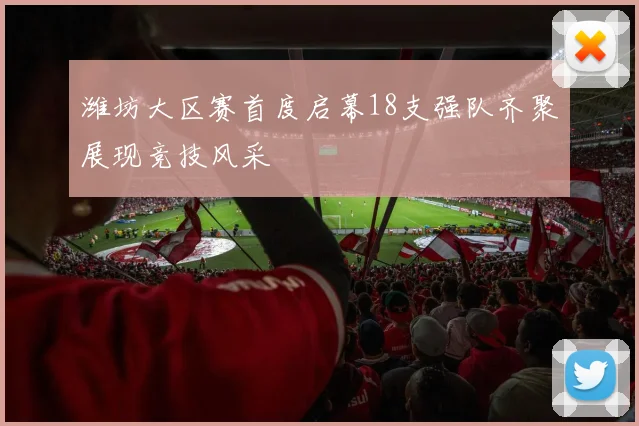 潍坊大区赛首度启幕18支强队齐聚展现竞技风采
